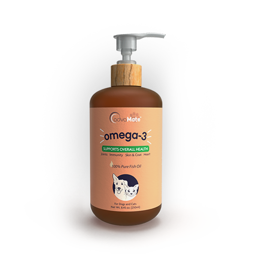 Omega-3 Fish Oil (1 bottle)