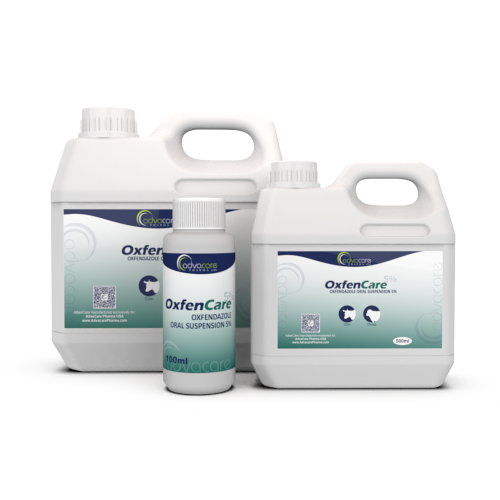 Oxfendazole Oral Suspension (100ml bottle, 500ml bottle and 1L bottle) Oxfendazole Oral Suspension (100ml bottle, 500ml bottle and 1L bottle)