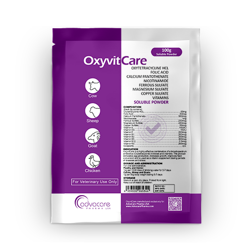 Oxytetracycline + Folic Acid + Calcium Pantothenate + Minerals + Multivitamin Soluble Powder (1 bag) Oxytetracycline + Folic Acid + Calcium Pantothenate + Minerals + Multivitamin Soluble Powder (1 bag)