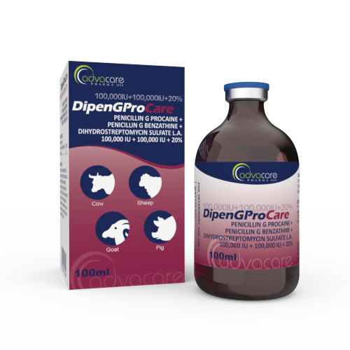 Penicillin G Procaine + Penicillin G Benzathine + Dihydrostreptomycin Sulfate LA Suspension for Injection (1 box and 1 vial) Penicillin G Procaine + Penicillin G Benzathine + Dihydrostreptomycin Sulfate LA Suspension for Injection (1 box and 1 vial)