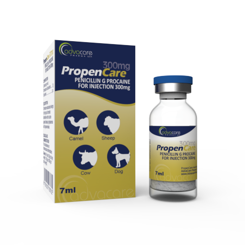 Penicillin G Procaine for Injection (1 box and 1 vial)