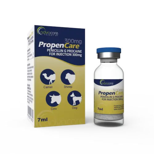 Penicillin G Procaine for Injection (1 box and 1 vial) Penicillin G Procaine for Injection (1 box and 1 vial)