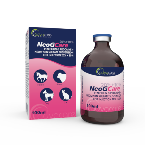 Penicillin G Procaine + Neomycin Sulfate Suspension for Injection (1 box and 1 vial)