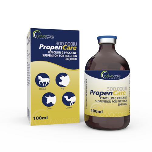 Penicillin G Procaine Suspension for Injection (1 box and 1 vial) Penicillin G Procaine Suspension for Injection (1 box and 1 vial)