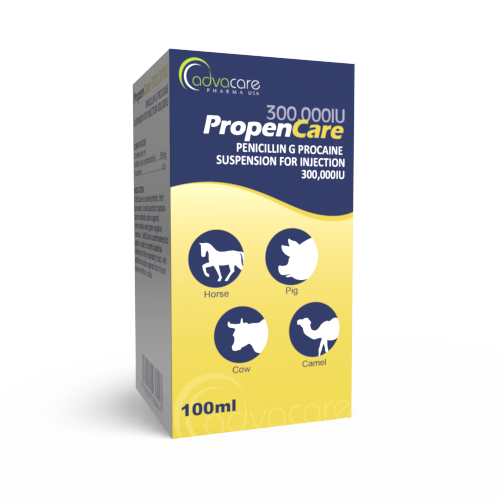 Penicillin G Procaine Suspension for Injection (box of 1 vial)