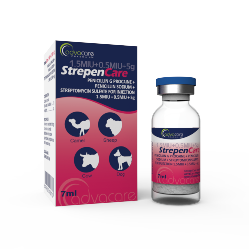 Penicillin G Procaine + Penicillin Sodium + Streptomycin Sulfate for Injection (1 box and 1 vial) Penicillin G Procaine + Penicillin Sodium + Streptomycin Sulfate for Injection (1 box and 1 vial)