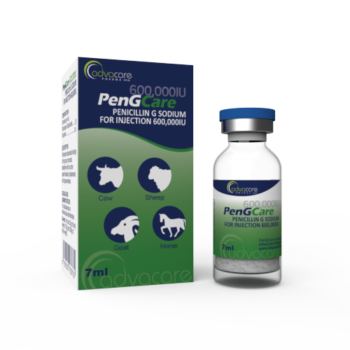 Pénicilline G Sodique pour Injection (1 boîte et 1 flacon) Pénicilline G Sodique pour Injection (1 boîte et 1 flacon)