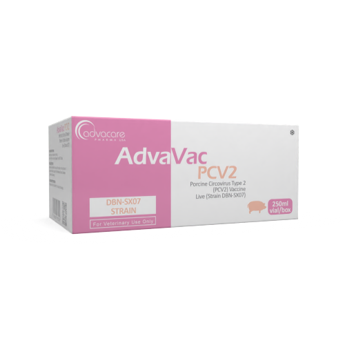Porcine Circovirus Type 2 (PCV2) Vaccine (box of 1 vial)
