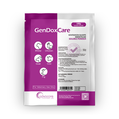 Poudre Soluble de Sulfate de Gentamicine + Doxycycline (1 sac) Poudre Soluble de Sulfate de Gentamicine + Doxycycline (1 sac)