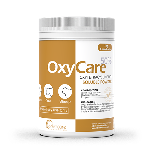 Poudre Soluble d'Oxytétracycline HCl (1 bouteille) Poudre Soluble d'Oxytétracycline HCl (1 bouteille)