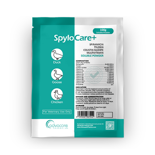 Poudre Soluble de Spiramycin + Tylosine + Colistine + Multivitaminée (1 sac) Poudre Soluble de Spiramycin + Tylosine + Colistine + Multivitaminée (1 sac)