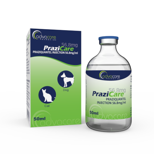 Praziquantel Injection Side Effects