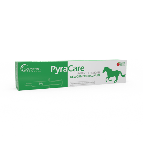 Pyrantel Pamoate Pâte Orale (boîte de 1 seringue)