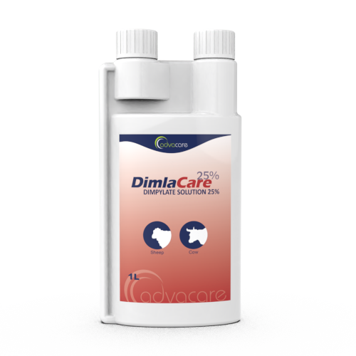 Solución de Dimpilato (1 botella)
