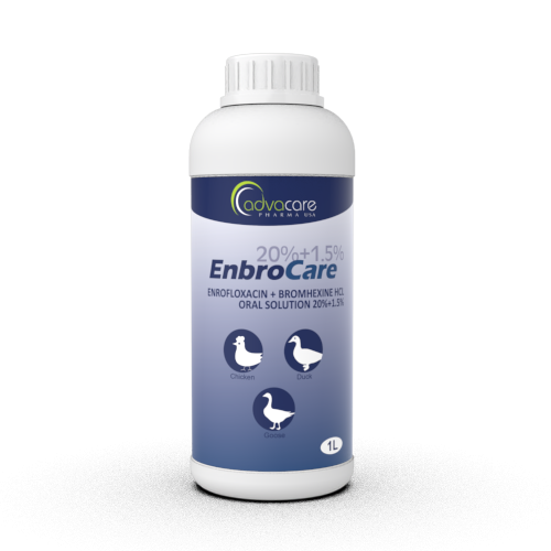 Solución Oral de Enrofloxacina + Bromhexina HCl (1 botella)