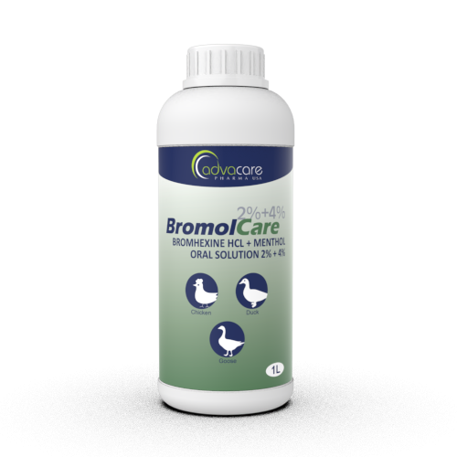 Solución Oral de Bromhexina HCl + Mentol (1 botella)