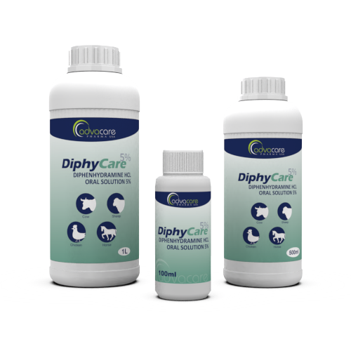 Solución Oral de Difenhidramina (100ml botella, 500botella de ml y 1botella de L) Solución Oral de Difenhidramina (100ml botella, 500botella de ml y 1botella de L)