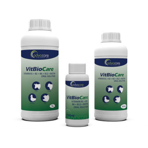 Solution Orale de Vitamine B1 + B2 + B6 + B12 + Biotine (Bouteille de 100ml, 500bouteille de ml et 1bouteille de L) Solution Orale de Vitamine B1 + B2 + B6 + B12 + Biotine (Bouteille de 100ml, 500bouteille de ml et 1bouteille de L)