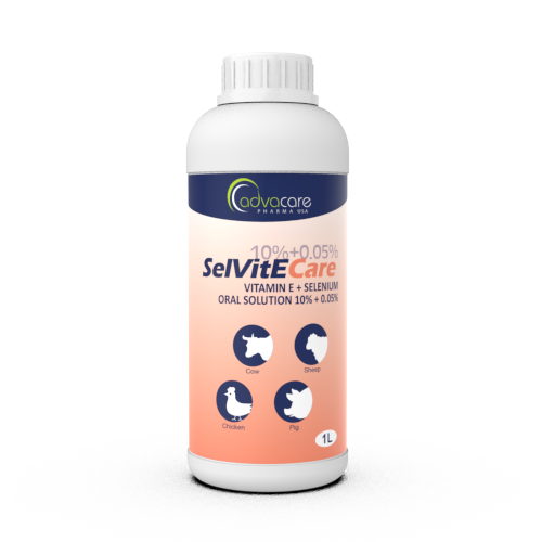 Solution Orale de Vitamine E + Sélénium (1 bouteille)