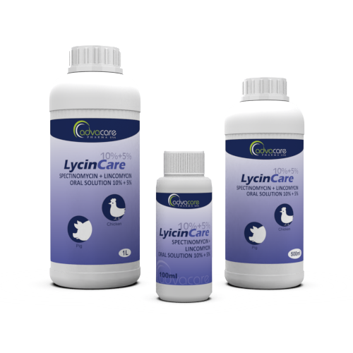 Spectinomycin + Lincomycin Oral Solution (100ml bottle, 500ml bottle and 1L bottle) Spectinomycin + Lincomycin Oral Solution (100ml bottle, 500ml bottle and 1L bottle)