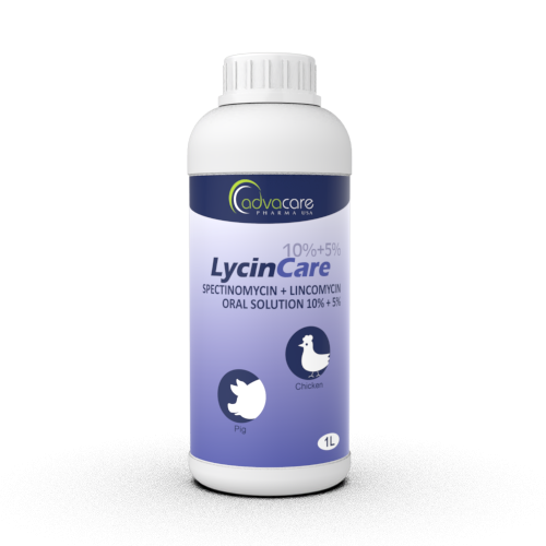 Solution Orale de Spectinomycine + Lincomycine (1 bouteille)