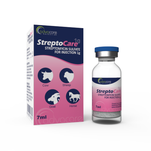 Sulfate de Streptomycine pour Injection (1 boîte et 1 flacon) Sulfate de Streptomycine pour Injection (1 boîte et 1 flacon)