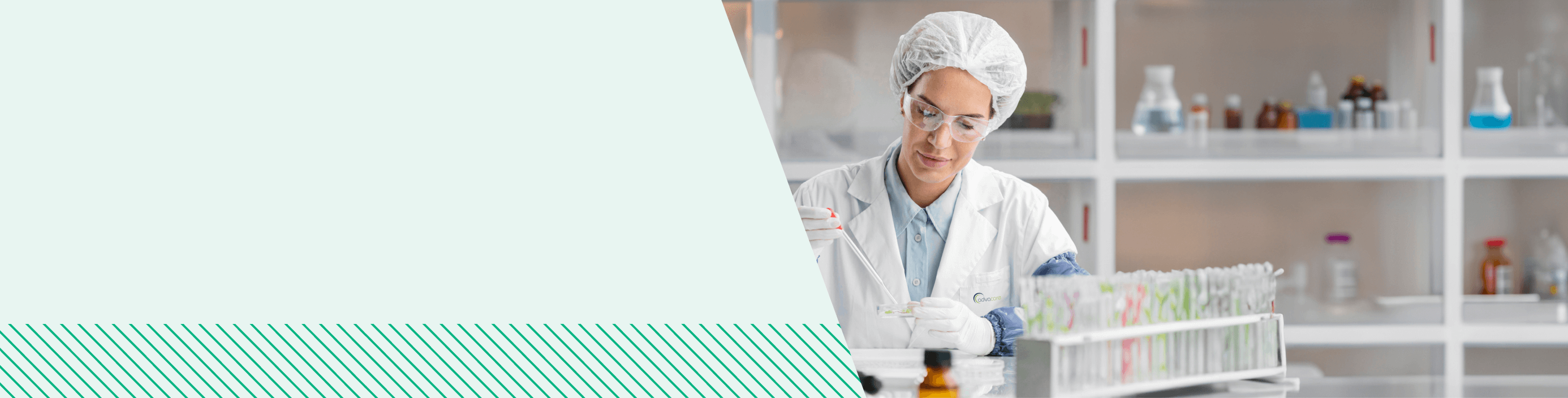 Diferentes formulaciones de suplementos AdvaLife en un laboratorio. Diferentes formulaciones de suplementos AdvaLife en un laboratorio.