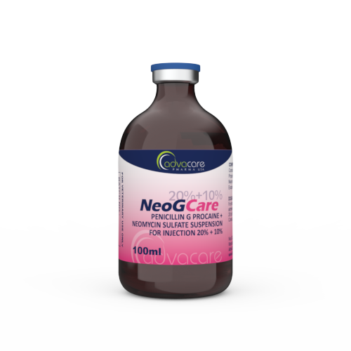 Suspension Injectable de Pénicilline G Procaïne + Sulfate de Néomycine (1 flacon) Suspension Injectable de Pénicilline G Procaïne + Sulfate de Néomycine (1 flacon)