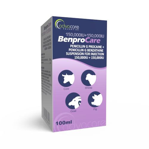 Suspensión Inyectable de Penicilina G Procaína + Penicilina G Benzatina (caja de 1 vial) Suspensión Inyectable de Penicilina G Procaína + Penicilina G Benzatina (caja de 1 vial)