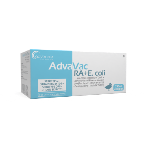 Vaccin contre la Sérosite Infectieuse du Canard + Maladie à Escherichia Coli (boîte de 1 flacon) Vaccin contre la Sérosite Infectieuse du Canard + Maladie à Escherichia Coli (boîte de 1 flacon)