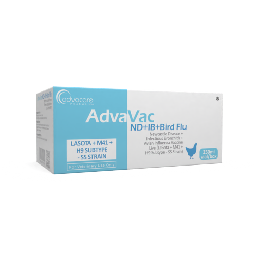 Vaccin contre la Maladie de Newcastle + Bronchite Infectieuse + Influenza Aviaire (boîte de 1 flacon) Vaccin contre la Maladie de Newcastle + Bronchite Infectieuse + Influenza Aviaire (boîte de 1 flacon)