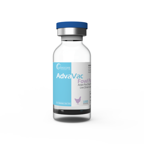 Variole aviaire (Variole aviaire)