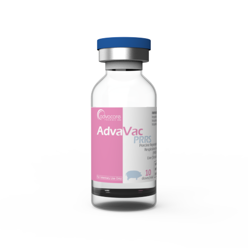 Syndrome Dysgénésique et Respiratoire du Porc (SDRP)