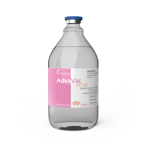Circovirus porcin de type 2 (PCV2)