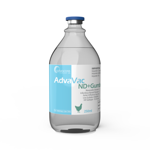Vacuna contra la Enfermedad de Newcastle + Enfermedad de Bursa Infecciosa + Influenza Aviar (1 frasco) Vacuna contra la Enfermedad de Newcastle + Enfermedad de Bursa Infecciosa + Influenza Aviar (1 frasco)