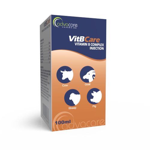Vitamin B Complex Injection (box of 1 vial)