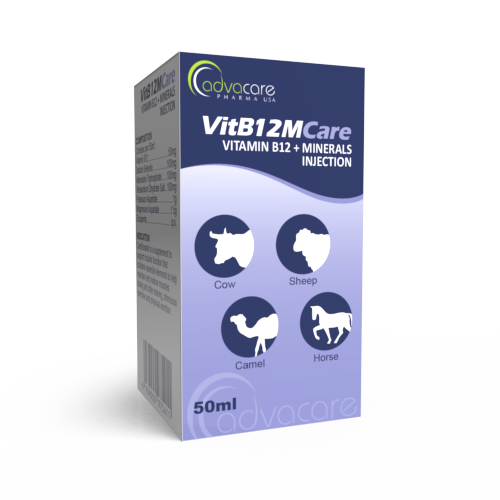 Vitamin B12 + Minerals Injection (box of 1 vial)