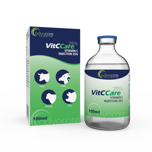 Vitamin C Injection (1 box and 1 vial)