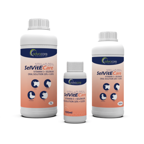 Vitamin E + Selenium Oral Solution (100ml bottle, 500ml bottle and 1L bottle)