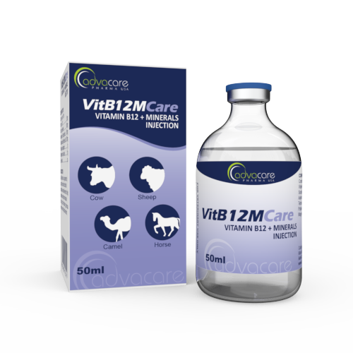 Inyección de Vitamina B12 + Minerales (1 caja y 1 frasco) Inyección de Vitamina B12 + Minerales (1 caja y 1 frasco)