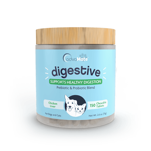 Digestive Support Chewable Tablets (1 bouteille)