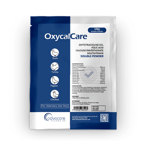 Oxytetracycline HCl + Folic Acid + Calcium Pantothenate + Multivitamin Soluble Powder (1 bag)