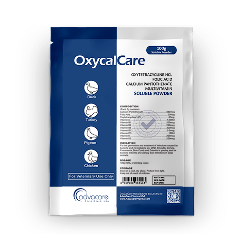 Oxytetracycline HCl + Folic Acid + Calcium Pantothenate + Multivitamin Soluble Powder (1 bag)