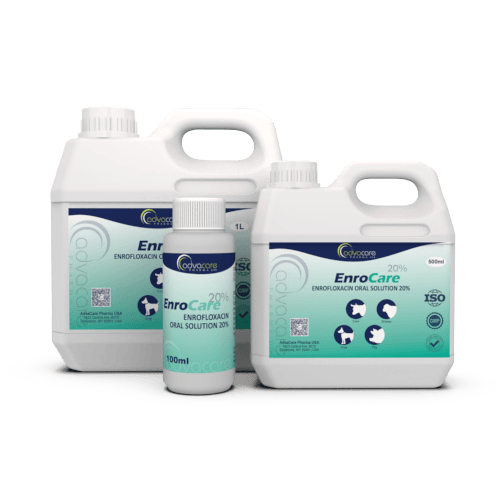 Solution Orale d'Enrofloxacine (Bouteille de 100ml, 500bouteille de ml et 1bouteille de L)