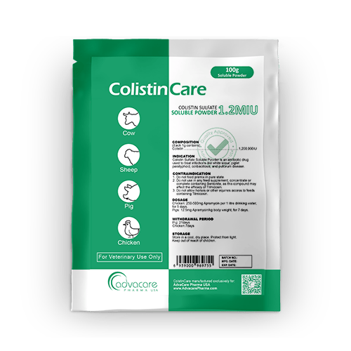 Colistine Sulfate Poudre Soluble (1 sac)