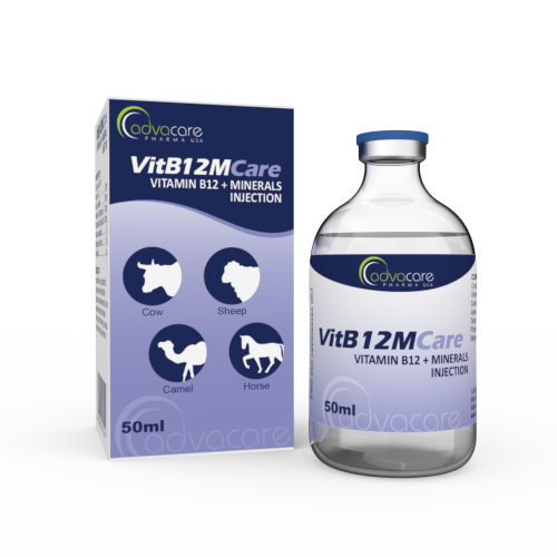 Vitamin B12 + Minerals Injection – Manufacturer