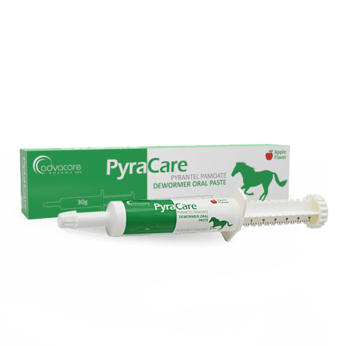 Pyrantel Pamoate Pâte Orale (1 boîte et 1 seringue)