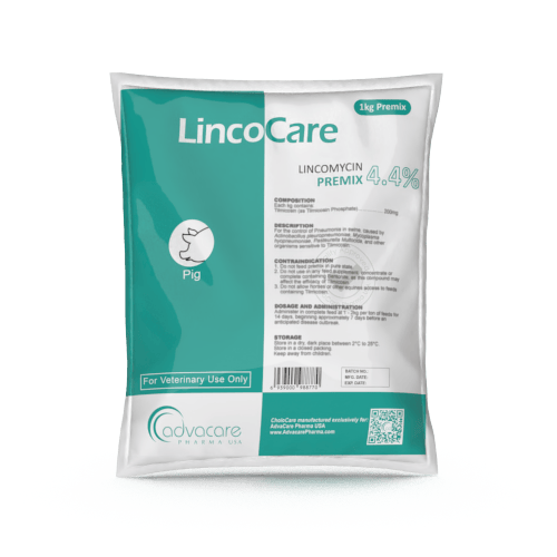 Lincomicina Premezcla (1 bolsa)