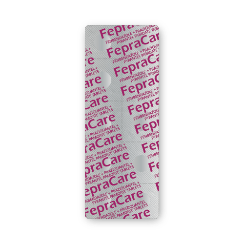 Fenbendazole + Praziquantel + Pyrantel Pamoate Tablets (blister of 10 tablets)