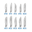 Lames Chirurgicales (ensemble de tailles)